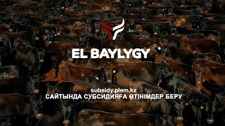 EL BAYLYGY | ЕЛ БАЙЛЫҒЫ - SUBSIDY.PLEM.KZ САЙТЫНДА СУБСИДИЯҒА ӨТІНІМДЕР БЕРУ