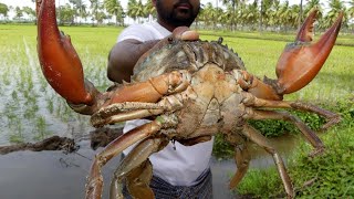 खांख्राय बाथोन || Crab 🦀 || কেকোঁৰা || Bodo Cuisine || Tribal Food