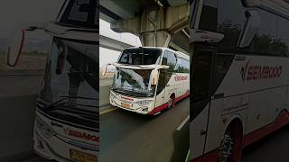 hunting bus sembodo-kramat djati di jalan tol #kramatdjati #sembodo #busmania