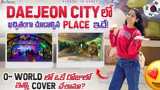 Must visiting place in Daejeon || Fireworks festival || O- World || Safari Ride ||