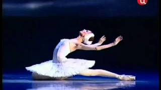 The Dying Swan