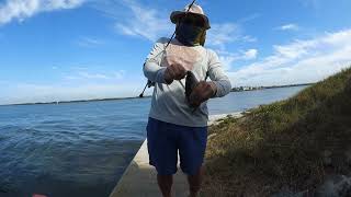 Fishing Upper Tampa Bay Winter Time