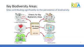 Canadian Prairies Key Biodiversity Areas Workshop