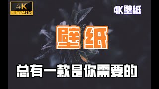 【4K/壁纸/美化】那些合适用来敲代码的壁纸总有一款是你需要的