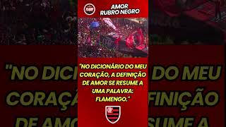 FLAMENGO UMA HISTÓRIA DE AMOR 6º PARTE! NO DICIONÁRIO DO MEU CORAÇÃO..!