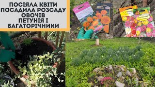 #40 Агресор конвалія/Досаджую рассаду помідорів/Посіяла календулу  і сухоцвіти/Петунія в кашпо