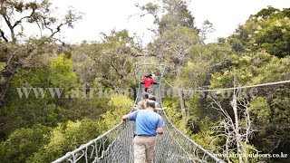 Africa Outdoors: Ngare Ndare Excursion