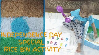 Independence Day Activity for kids | DIY Tricolor Indian Flag | Tricolor sensory bin | Rice Bin #10