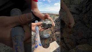 We STRUCK GOLD! We Found A Beautiful Golden Shell Fossil On The Beach! 😱🦖🦑🔨