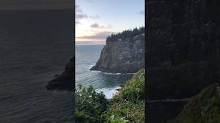 Sunset on the Pacific with Seagulls on Cliffside -- Oregon