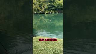 The Secret TECHNIQUE For BANK CATFISHING!! #shorts #fishing #catfishing