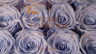 Review Rose Forever New York - Crystal Passion Baby Blue Preserved Roses