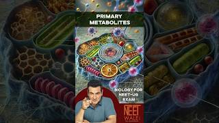 Primary METABOLITES and it's Functions | Biomolecules | class 11 Biology  #neet #biology #science