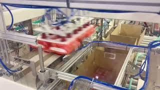 Completely Case Packing Line of Instant Noodles  by Delta Robot(spider robot) from Atomrobot.