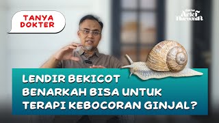 Lendir Bekicot Benarkah Bisa Untuk Terapi Kebocoran Ginjal? @dr.ariefnurudhin_official