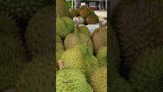 Durian on the side of the road Thai fruit on the side of the road #thailandstreetfood #thaistreet