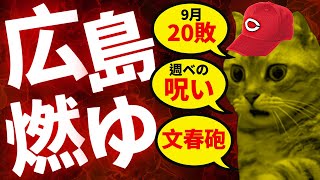 【猫ミーム】「広島燃ゆ」の歴史的失速を振り返る。