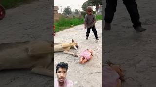 Dog ke bagal me doll 👧😱 #shortvideo #shorts