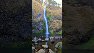 #waterfall #nature #relaxingmusic #music #relax #relaxingflowers #relaxing #meditationmusic