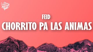 Feid - CHORRITO PA LAS ANIMAS (Letra/Lyrics)