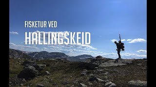 Trout fishing trip in  Norway - Fisketur på Hallingskeid