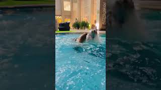 Bhole se Haryana ke | Pushups In Pool