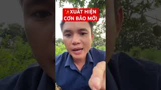 XUẤT HIỆN CƠN BÃO MỚI KONG REY #tinnong #news #tintuc