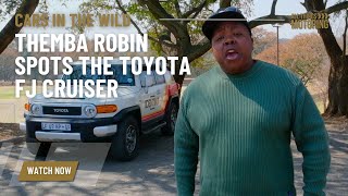 CARS IN THE WILD: Themba Robin spots the Toyota FJ Cruiser