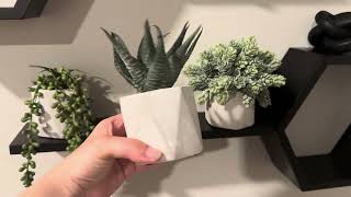 Amazon Finds: Plant Decor