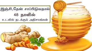 இஞ்சி ,தேன் | 48 நாளில் உடலில் நடக்கும் அதிசயங்கள் - Ginger And Honey Uses In Tamil