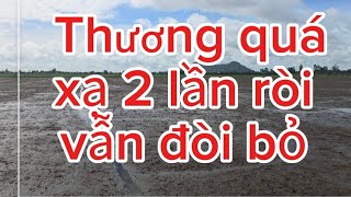 cẩn thận xuống giống gặp mưa đầm.#nguyễnngào