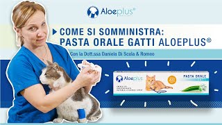 Come si somministra la Pasta Orale Gatti Aloeplus?