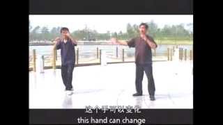 Zhang Guangyu - Chinese Wushu - Yiquan Collection - DVD3 sample