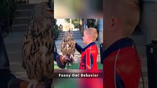 Funny Owls Behavior.🦉🥰🥰😍#owl #cutebirds#funnybirds#funnyanimals#munchkin#challenge#longervideos#fyp