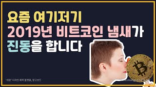 비트코인 이 때 사면, 최소 20배 법니다. (이미 3번이나 검증된 데이터, 2023년, 2024년, 2025년 가격)