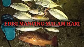 EDISI Mancing Ikan Di Malam Hari Hasil nya Mantap