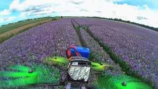 Blue fields - Fpv drone