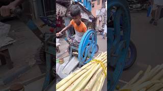 Fresh Sugar Crane Juice in India -Indian Street Food