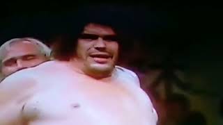 Hulk Hogan & Antonio Inoki vs Andre the Giant & El Canek