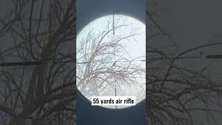 Long Range Air Rifle Killshot!!  #shorts