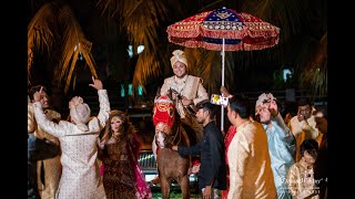 Groom Entry  |  Dhaka Wedding  |  Cinematography by Dream Weaver