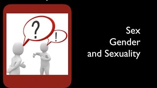 26-Sexuality and the Human Person