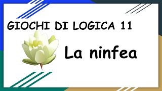 Giochi di Logica 11 La Ninfea