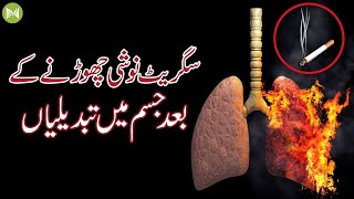 What happens when you Stop Smoking | جب آپ سگریٹ نوشی چھوڑ دیتے ہیں تو کیا ہوتا ہے۔ | Metahealth