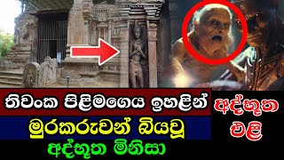 තිවංක පිළිමගෙය ඉහළින් අද්භූත එළි | Mysteries Unveiled The Enigmatic Thiwanka Image House Polonnaruwa