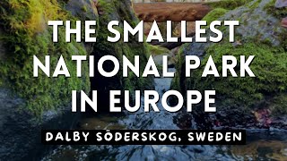 THE SMALLEST NATIONAL PARK in Europe | What To See Near Lund And Malmö | 4K