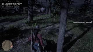 Red Dead 2 with Friends#3 4K PS5