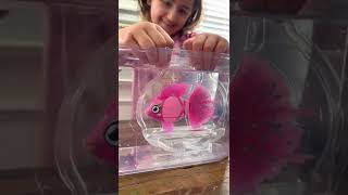 Little Live Pets PET FISH