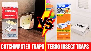 Catchmaster vs TERRO Indoor Insect Traps (Which is More Effective)