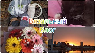 Вязальный влог 30/24 Сменила имидж, небольшие продвижения #vlog #влог #вязание